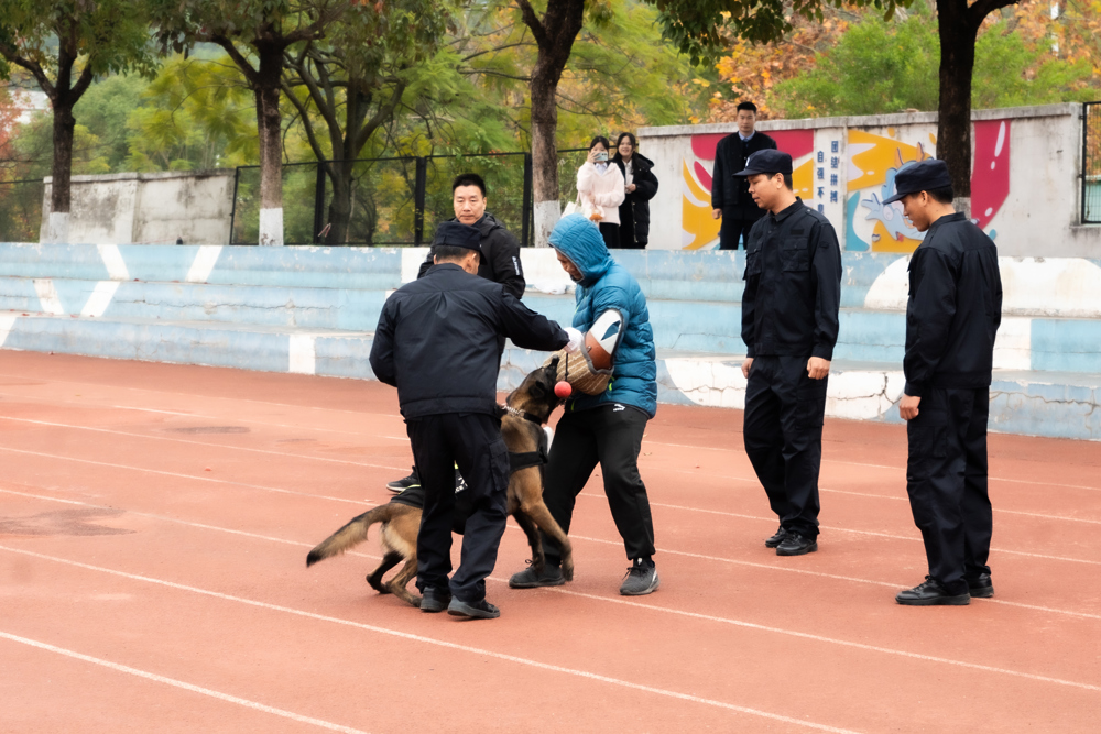 警犬抓捕嫌疑人表演