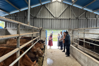 贸易与旅游管理学院赴岜团村开展党建联建共建及乡村振兴调研活动