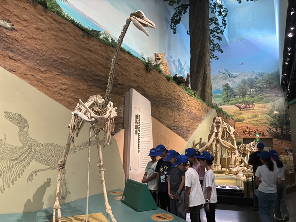 研学学生参观白莲洞博物馆